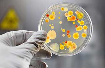 Dra. Renata Maronna Praca - Foto 1