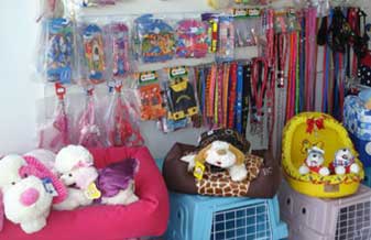 Pet Shop Pelos & Patas - Foto 1