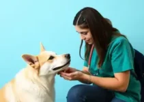 Psicologia, Fisioterapia e Veterinária em Dourados