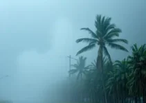 tempestade laranja