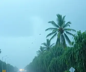 Alerta Amarelo Dourados