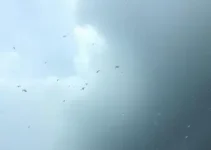alerta amarelo em Dourados