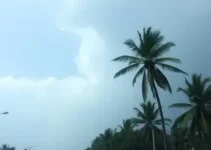 alerta amarelo para tempestade